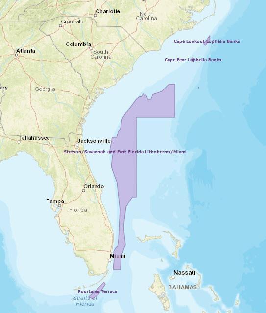 Deepwater CHAPCs The comprehensive Ecosystem-Based Amendment 1 designated five
