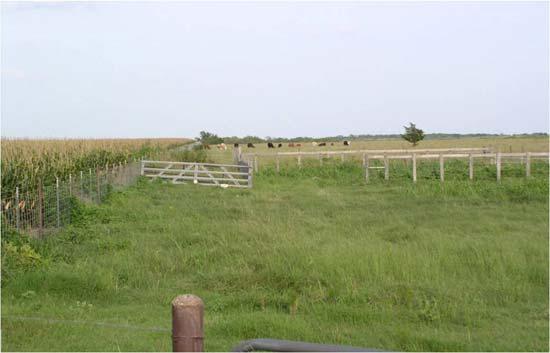 Pasture Grazing 900 acres in 1995 6,000 acres in 2008 Increased
