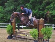 Horse/rider combination can t cross enter into classes where heights exceed 2 6 Children and Adult Amateur Hunter Fences 2 9.