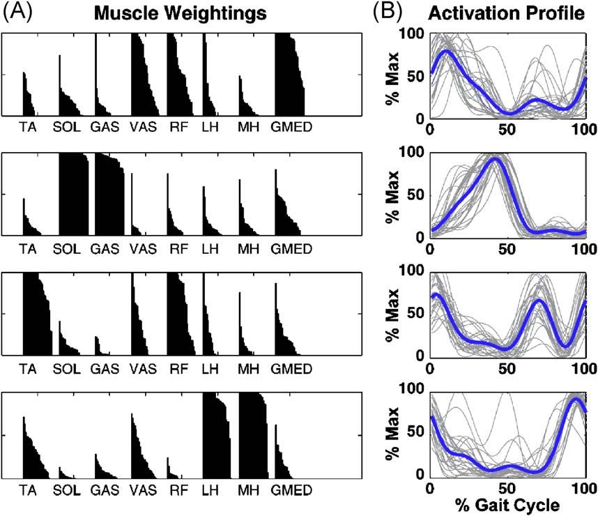 R.R. Neptune et al. / Journal of Biomechanics 42 (2009) 1282 1287 1285 Fig. 2. Muscle module weightings and activation timing profiles while control subjects walked at 1.2 m/s derived from NNMF.