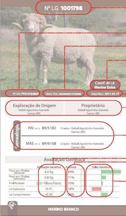 ANCORME Genetic Evaluation Identification in the herd book SIA Animal Identification System Electronic Identification (chip) Wool classification
