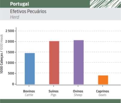 Portuguese Livestock (Breeding Females) Livestock population in Portugal, in 2016 (INE): sheep - 1 606 000 pigs - 233 000 cattle - 723 000 goats - 293 000 Sheep livestock has been decreasing since