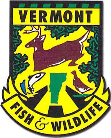Vermont Fish & Wildlife Department Strategic Plan 2017-2021 Strategic planning is a process of envisioning goals for the future and focusing department
