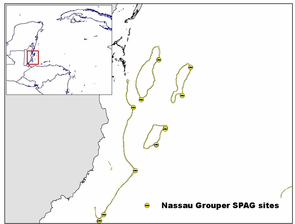 Nassau grouper Spawning Aggregation Sites in Belize.