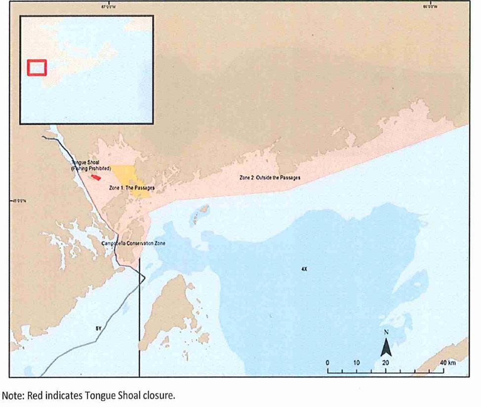 Figure 4 Fishing zones in southwest New Brunswick. Fishing is permitted in Zones 1 and 2 and prohibited in Tongue Shoal.