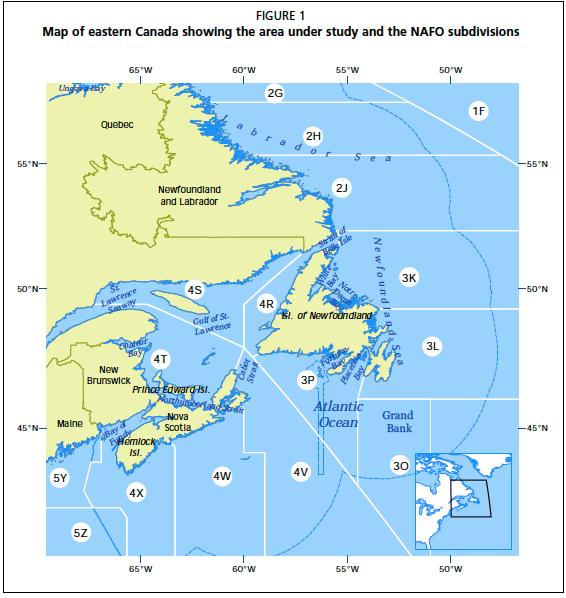 Figure 1 Fisheries management areas in Atlantic Canada. C. frondosa fisheries occur in 4VWX (NS), 4X (NB) and 3P (NL). Source: Hamel and Mercier 2008b Production Statistics Fishing of C.