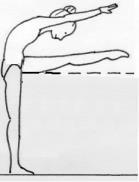 Bending (backward): chest (breastbone) bends backward (minimum 80 ) from the vertical line of your body.
