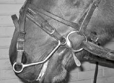 All overcheck bits shall be straight that is without joints. They shall also have rounded profiles and a design eliminating the risk for injury in the mouth of the horse.