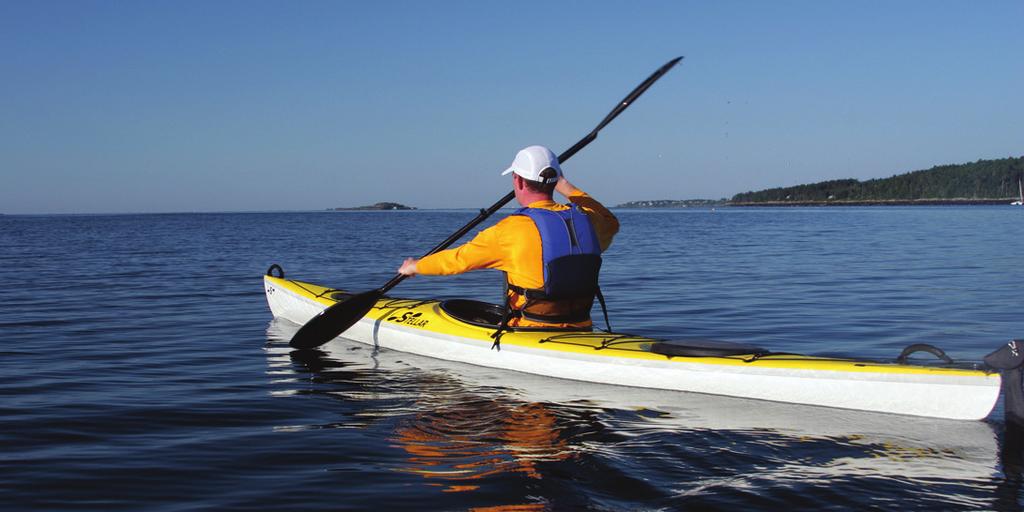 Touring Kayak Design Ultra: Clear finished Woven Carbon Fiber/Nomex sandwich