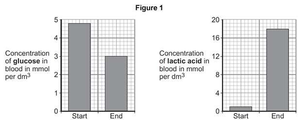 (i) Lactic acid is made during anaerobic respiration. What does anaerobic mean?