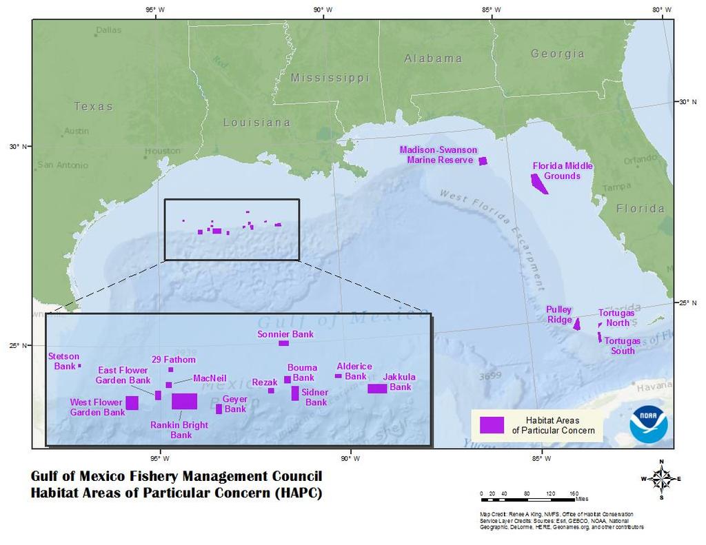 5. Gulf of Mexico Summary of current approach The Gulf of Mexico Fishery Management Council initially identified habitat types as well as specific sites as Habitat Areas of Particular Concern (HAPCs)