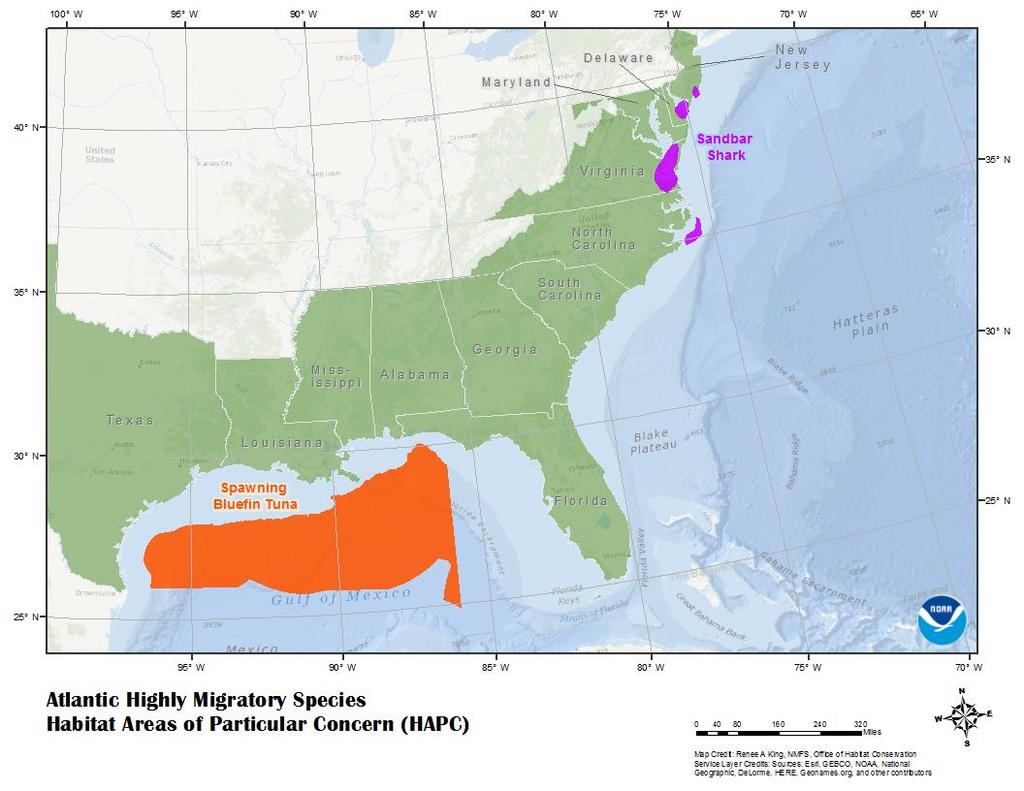 9. Atlantic Highly Migratory Species Summary of current approach Atlantic Highly Migratory Species (HMS) are managed internationally through the International Commission for the Conservation of