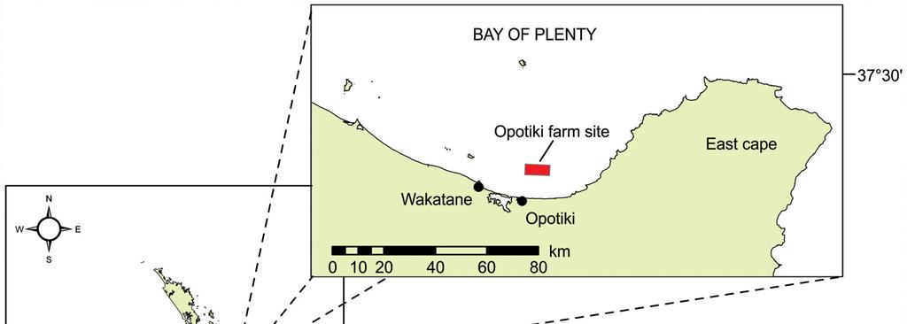 C. Woods et al. Figure 2. Map of New Zealand showing the location of the mussel farm where specimens of Caprella andreae were collected.