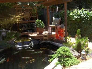 I may or may not be back by July 31st but, will try as I know Steve Walker will make a nice presentation on "How To Build A Perfect Pond.