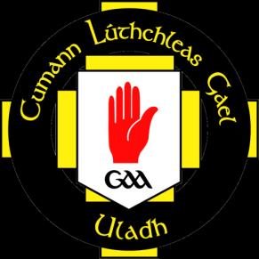 Ulster GAA Club Coaching Audit Club Name