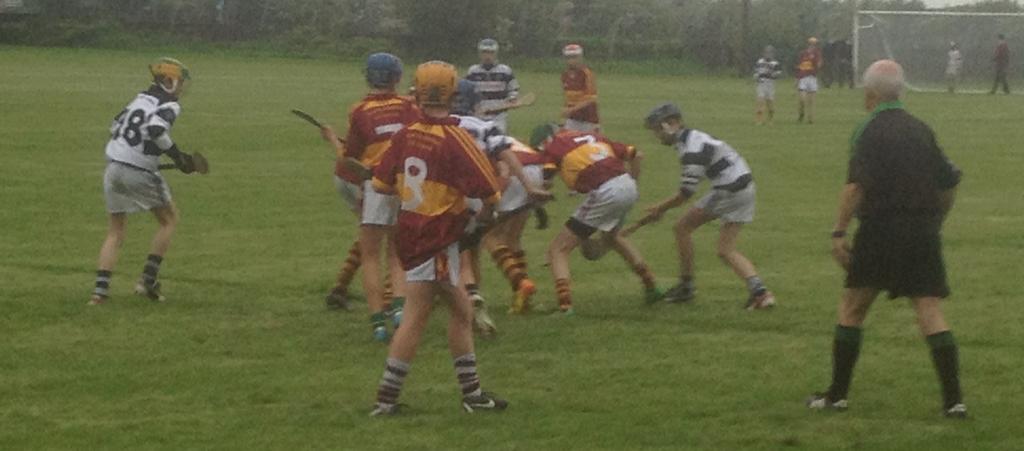 Tom Walsh Memorial 1st Year Blitz The pitches at GCC yesterday were proof positive of the quality of hurling in the South East corner of Ireland.