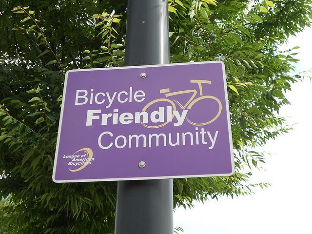 Bicycle Friendly Community Enforcement