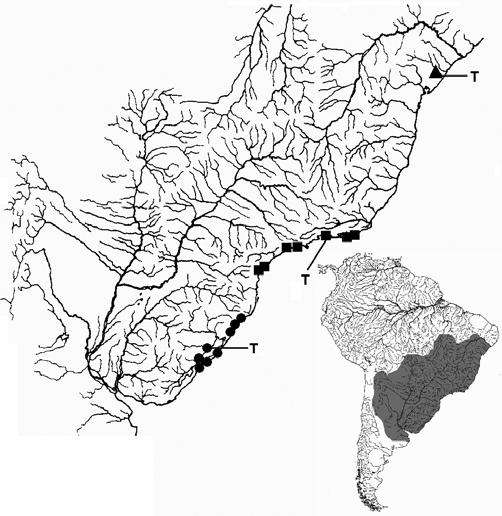 374 Systematics and biogeography of the genus Phalloptychus Fig. 1. Coastal drainages from Bahia to Rio Grande do Sul, and Uruguay showing distribution of Phalloptychus eigenmanni (triangle), P.