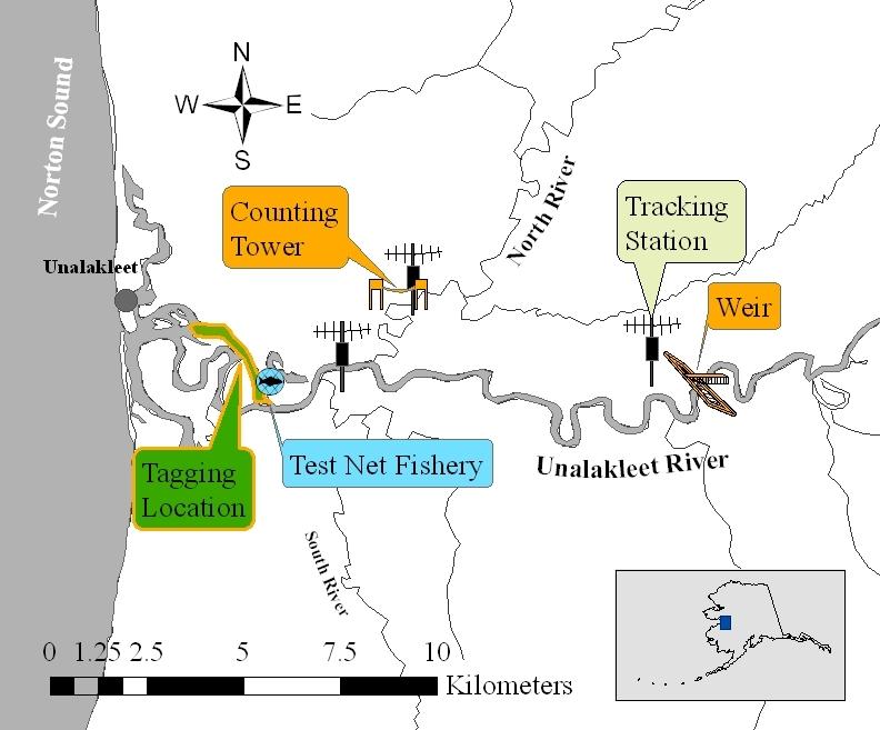 Figure 2. Chinook salmon tagging location, tracking station locations, ADF&G-CF test net, North River counting tower, and weir location in the Unalakleet River drainage, 2010.