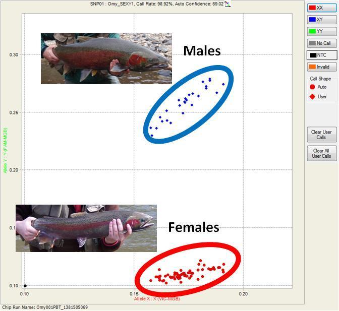 genetics/gender scale = age Analysis 187 SNP