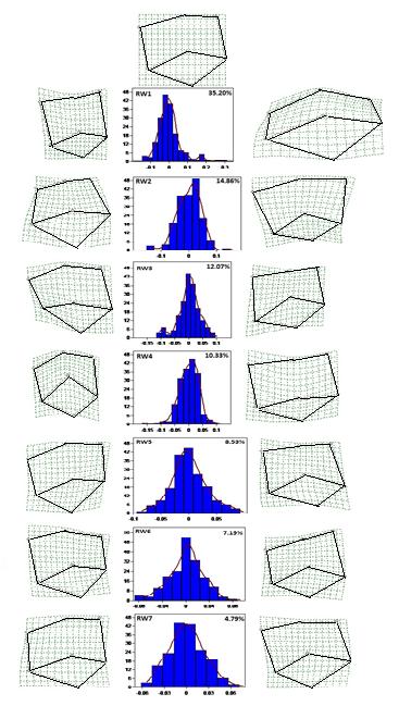 Multivariate Analysis (MANOVA) was used for the analysis of these relative warp scores for the different body regions where the scale was taken.