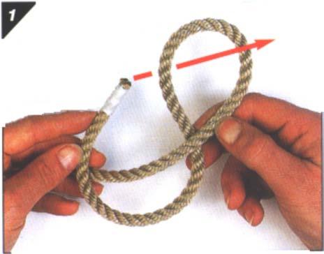 It makes an ideal stopper knot and is very easy to untie. Steps for Tying a Figure-of-Eight Knot 1.