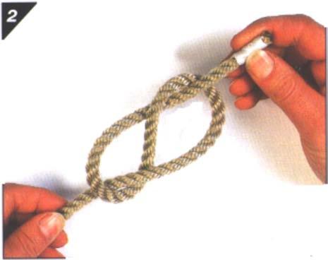 2. Now tuck the working end up through the loop from behind, forming a figure-of-eight. Figure 8 Step 2 Note. From Pocket Guide to Knots and Splices (p. 44), by D. Pawson, 2001, 3.