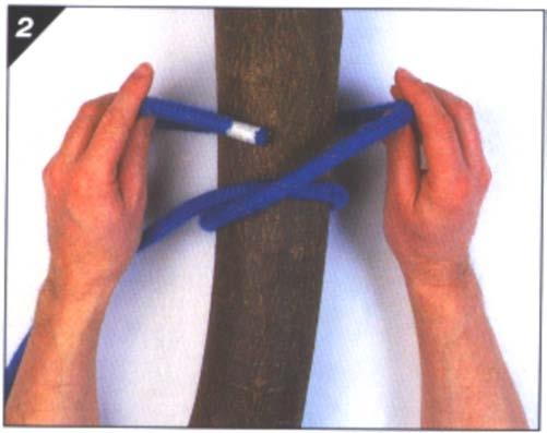rope. This makes the first half hitch. Figure 10 Step 1 Note. From Pocket Guide to Knots and Splices (p.