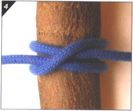 Pawson, 2001, Figure 13 Step 4 Note. From Pocket Guide to Knots and Splices (p. 106), by D. Pawson, 2001, Bowline.