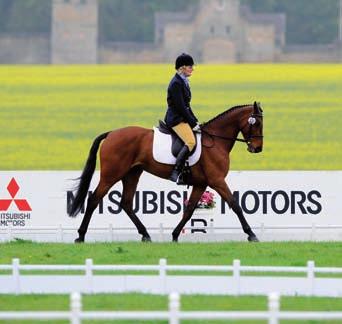 6 Eventing Facts Tailored Eventing Packages 7 Eventing sport and lifestyle is a long established part of British culture and the national events Made to measure packages are designed to achieve your