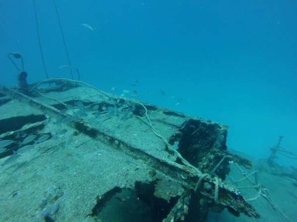 The wreck of Carib cargo has no major damages or changes, only minor damages and lines are hanging around in the wreck.