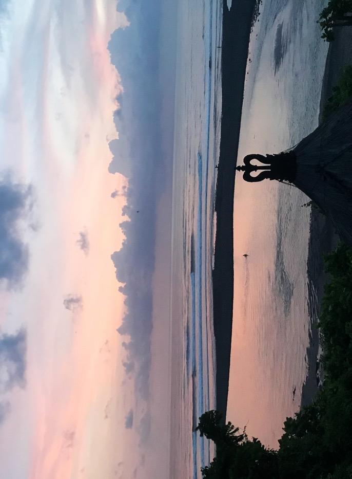 BALI BLISS - YOGA RETRAT with MICHELA Picture: view from the yoga shala 1-9 MARCH 2019 8 nights at the beach + 3 nights option in Ubud This is another dream coming true!