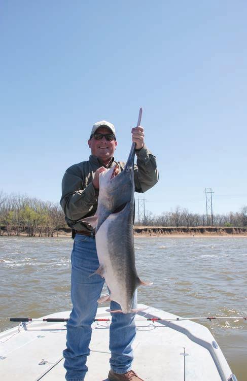 Grand Lake, Lake Hudson and Fort Gibson are all part of the Grand River system that has provided Oklahoma and non-resident anglers with some of the best paddlefishing in the world.