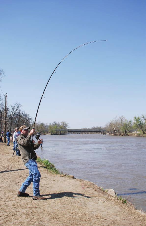 You can catch as many fish as you would like on these days but you must stop snagging once you keep a fish. On Mondays and Fridays, fishing is open to catchand-release only, statewide.
