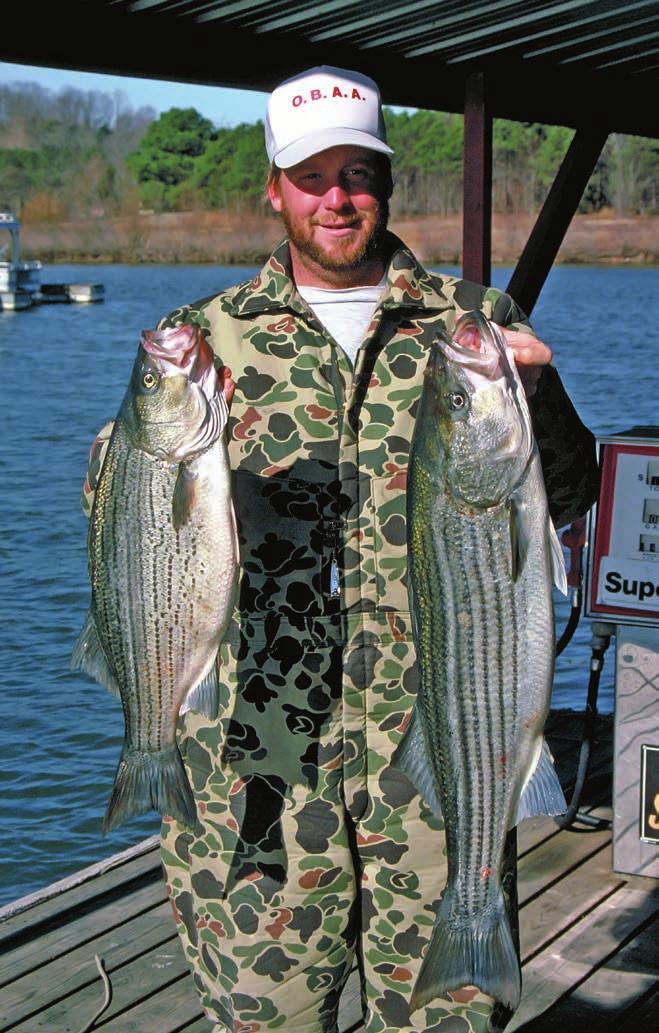 KEITH SUTTON Striped Bass Weight: 47 lbs., 8 oz. Where: Lower Illinois River When: 6-10-96 Angler: Louis Parker Striped Bass Hybrid Weight: 23 lbs., 4 oz.