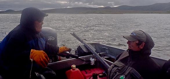 We d rafted and fished for nearly 70 miles and seen a wild Alaskan fishery at it s best.