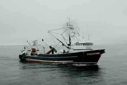 Large trawl, longline