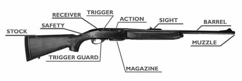 7 Parts and Features OF FIREARMS A firearm can be equipped with the following parts: Stock Part of the firearm the other parts are attached to and held against the shoulder when firing the gun.