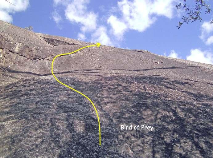 BirdOfPreyDrawing3 **BIRD OF PREY 58m 17 (route photo p31) The 1 st pitch requires thought and is run-out and the 2 nd pitch is superb and even more run-out. Exposed friction climbing at its best.
