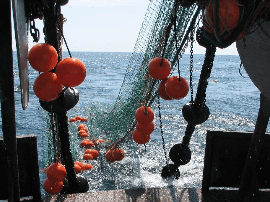 Raised Footrope Trawl for Haddock and Pollack for the inshore Gulf of Maine Submitted to: The