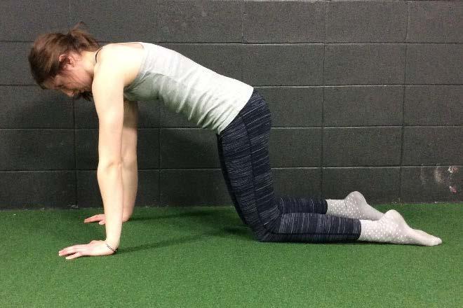 5 ALL 4 BELLY LIFT Level 1 1. Set up on your hands and knees. 2.