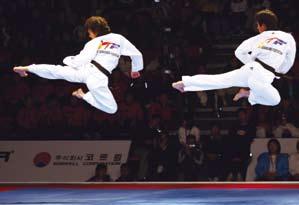Taekwondo is a lifetime pursuit to acquire beautiful and dynamic techniques and is loved by men and women of all ages.
