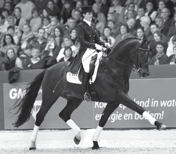 KWPN Breeding Designation Approved. 2011: Keur predicate. 1999: Successfully completed Performance Test. Dressage W 8, T 8, C 7.5, TD 8; Jumping TO 5, T 5, S 5, TJ 5.: Total 51.5. 2011 Awarded Keur predicate.
