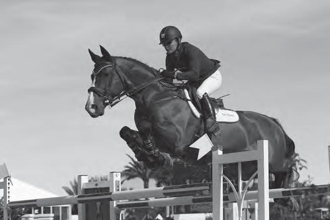 APPR Sport results in Holland 2008: 6th Zwolle CSI2*, Promising Stallion 1.45m. 2012: 24th World Cup Final, 's Hertogenbosch. Sport results in North America 2011: 3rd Del Mar CSI2*-W 1.