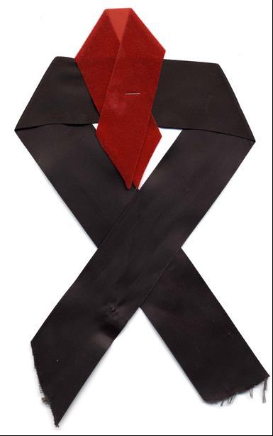 MEMORANDUM DATE: November 20, 2017 TO: FROM: Arts Commission Siân Poeschl, Arts Manager SUBJECT: World AIDS Day (Item B) The World Health Organization declared the first World AIDS Day on December 1,