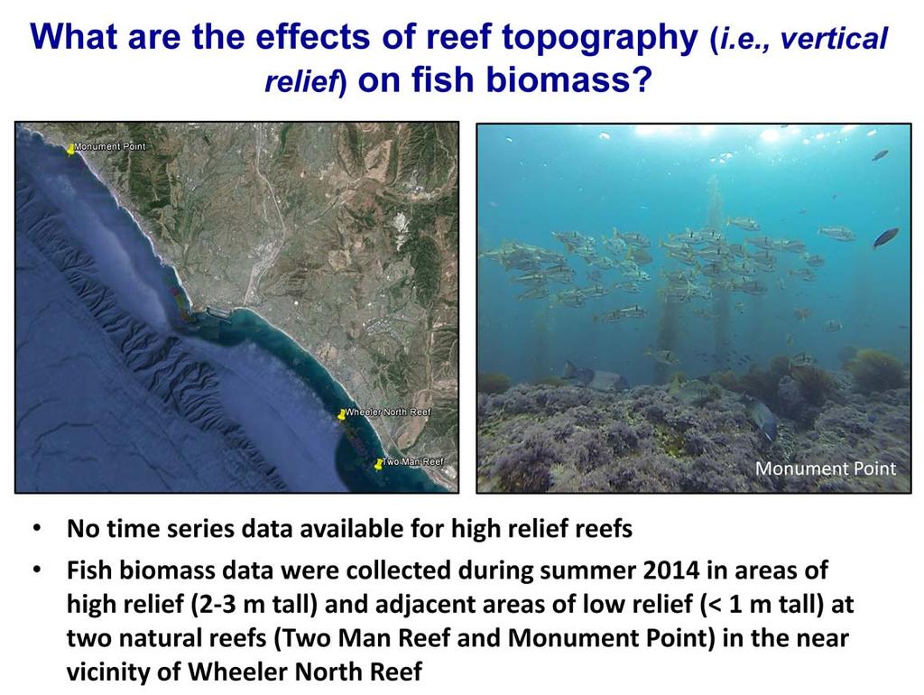 High relief reefs are known to support more fish biomass than low relief reefs.