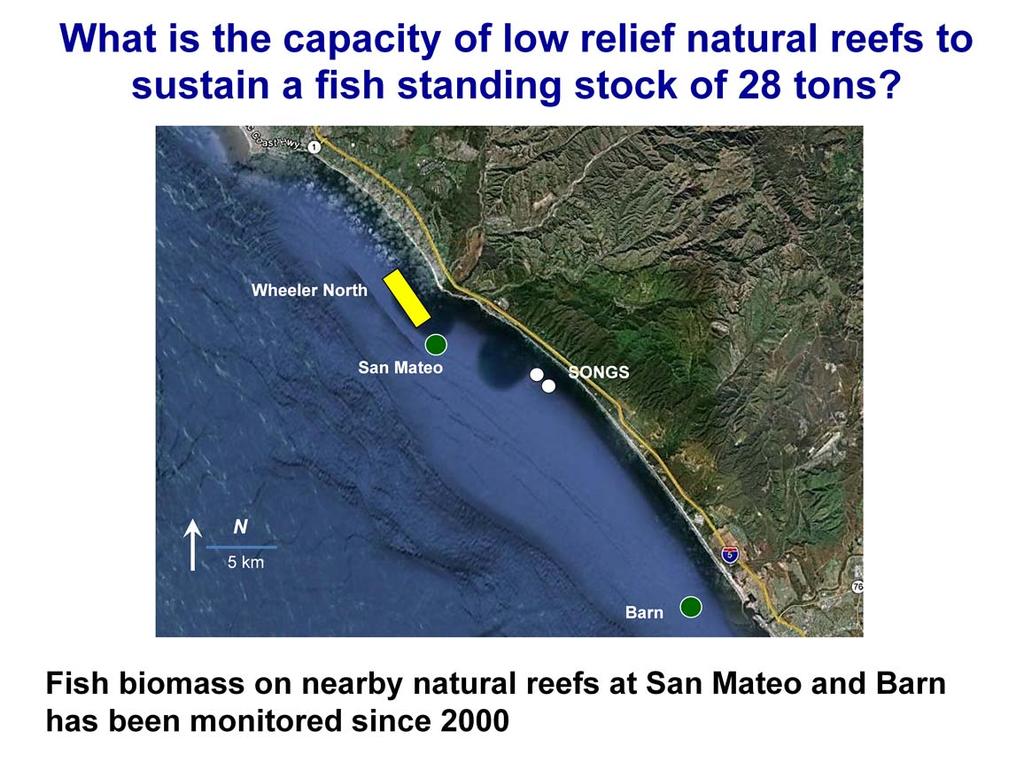 It is possible that failure of Wheeler North Reef to sustain a fish standing stock of at least 28 tons is not due to some feature of its design, but simply reflects the norm for all reefs (artificial