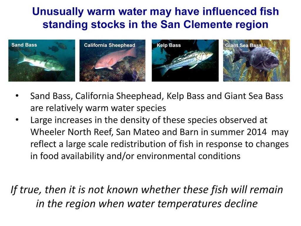 The unusually warm water in summer of 2014 may have influenced the fish standing stocks at Wheeler North Reef, San Mateo and Barn.