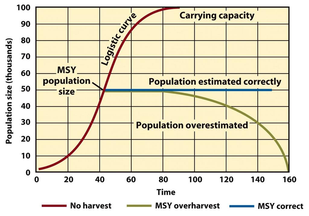 down, and the population eventually reaches a constant size Logistic Carrying Capacity: The