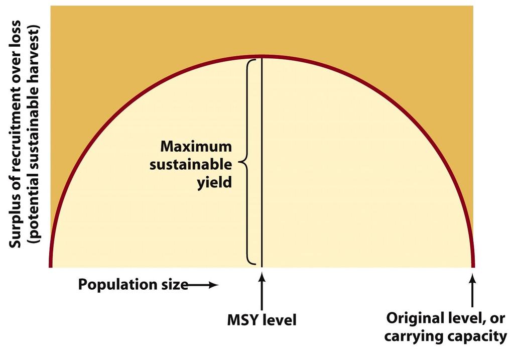 Optimum Sustainable Population: The population level that results in an optimum sustainable